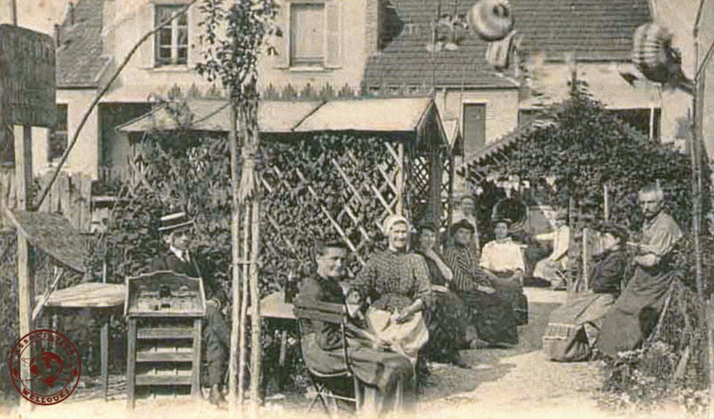 grenouille-fete-wellouej