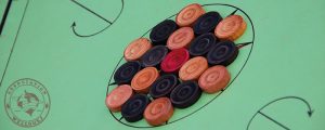haut-carrom