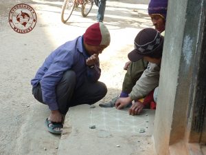 bagh-chal-photo