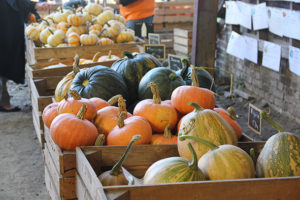 fete-de-la-citrouille-marquillies