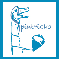 logo-spintricks