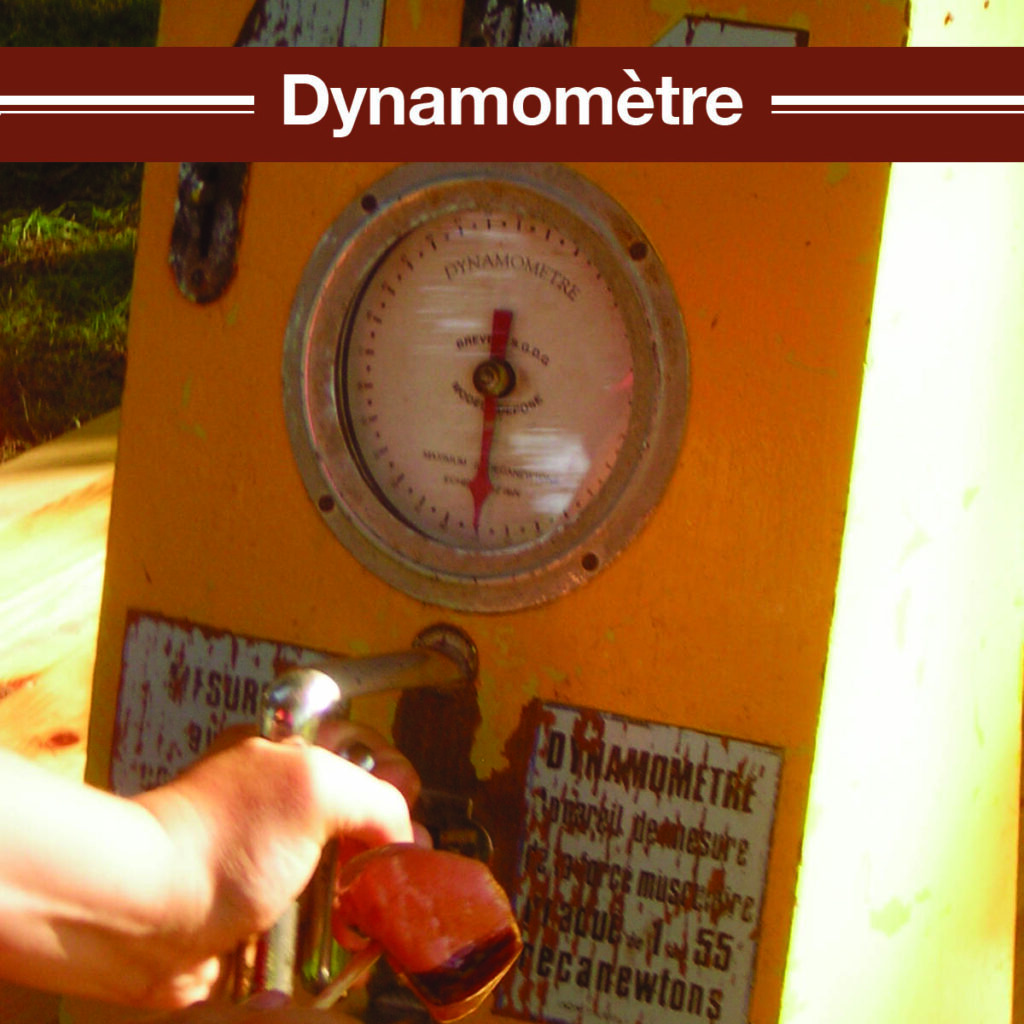 nos-jeux-dynamometre